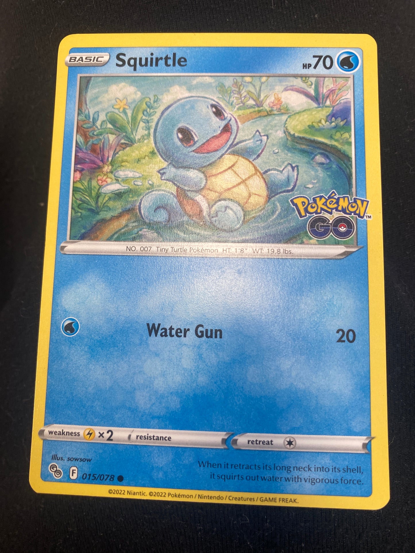 8a - Squirtle 15 Pokemon GO