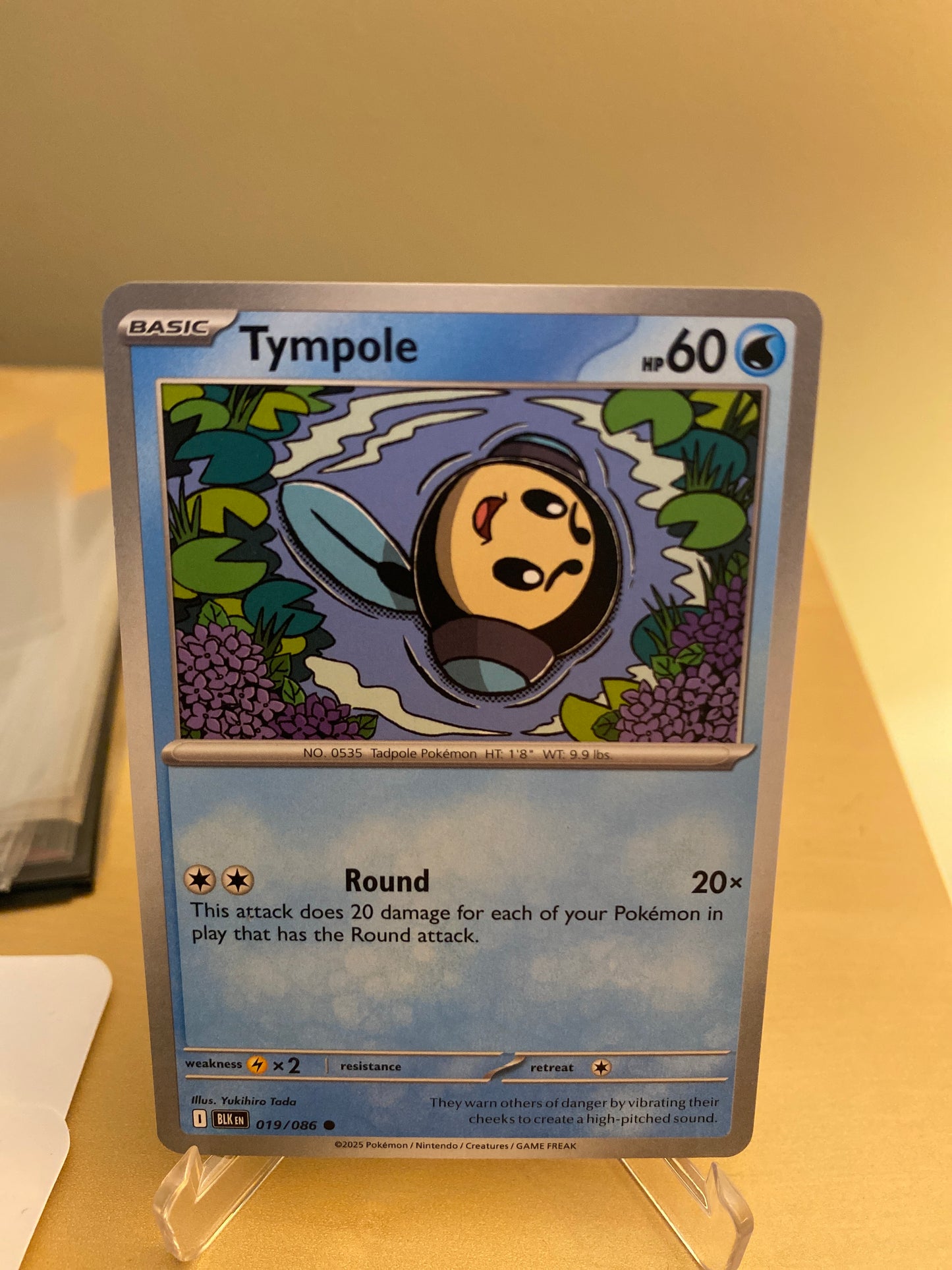 Tympole #19