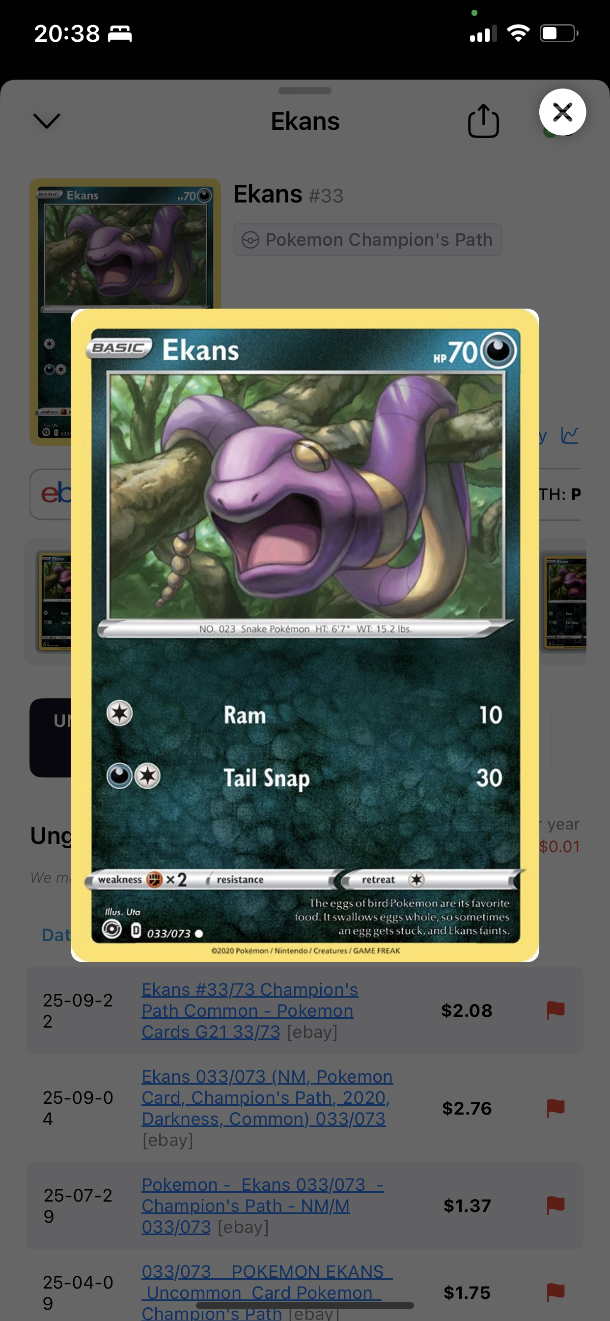 Ekans #33