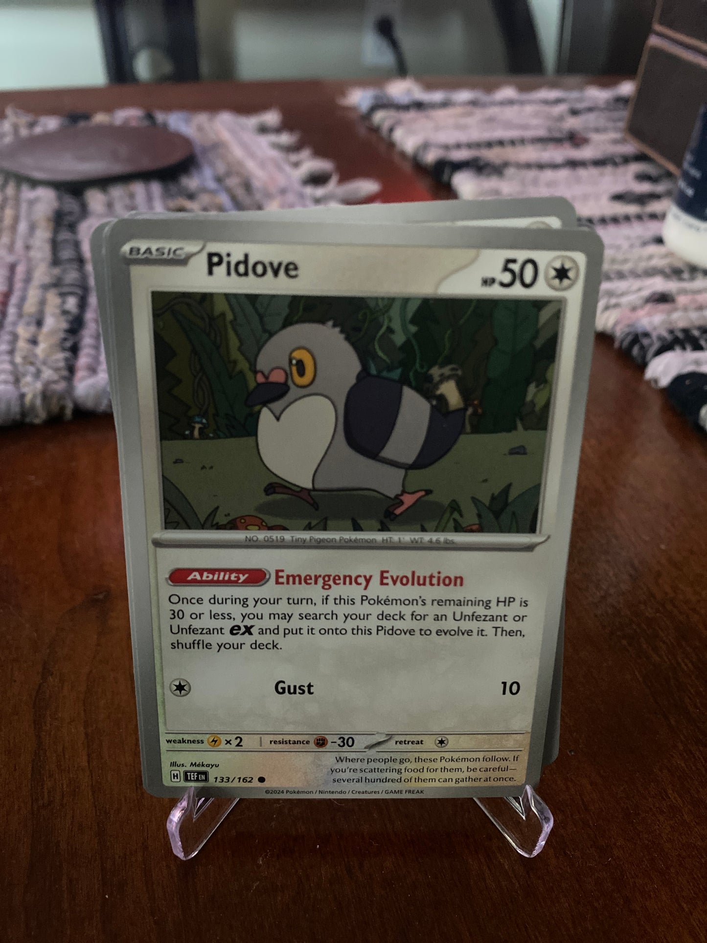 1b - Pidove #133